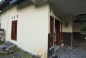 DIJUAL RUMAH MURAH DADAKAN WONOSARI DIY