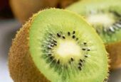 Bibit buah kiwi super manis