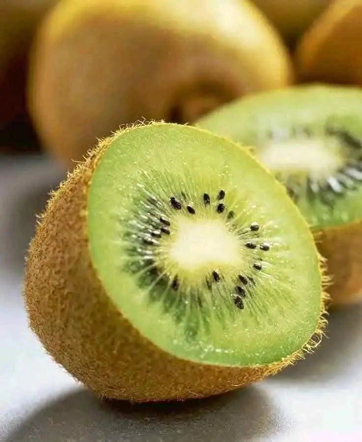Bibit buah kiwi super manis