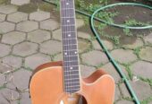 Gitar Akustik Cole Clark Jarang Dipake