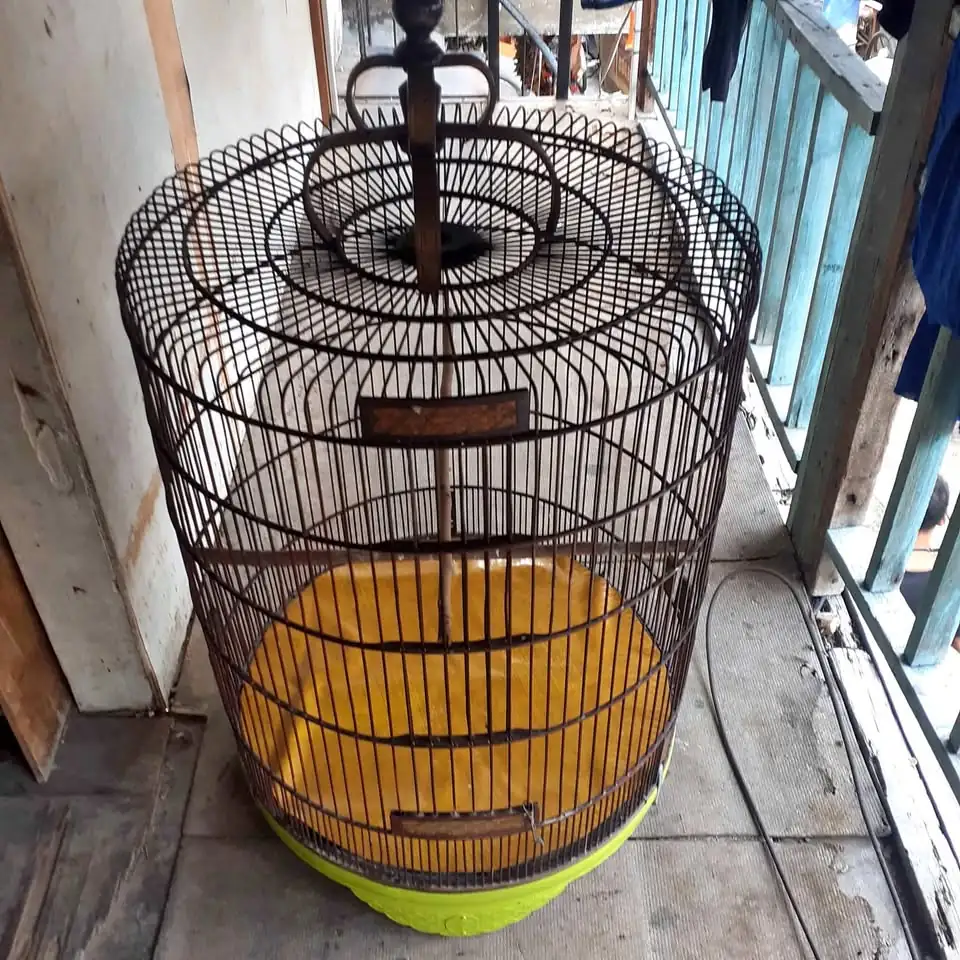 Kandang burung muray