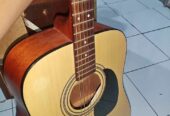 Gitar Cort Ad 810 Op Original