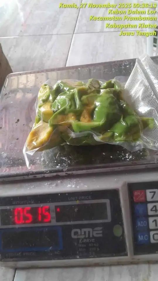 Alpukat frozen Selalu ready Musim tidak musim ready terus