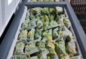 Buah Alpukat mentega frozen