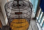 Kandang burung muray
