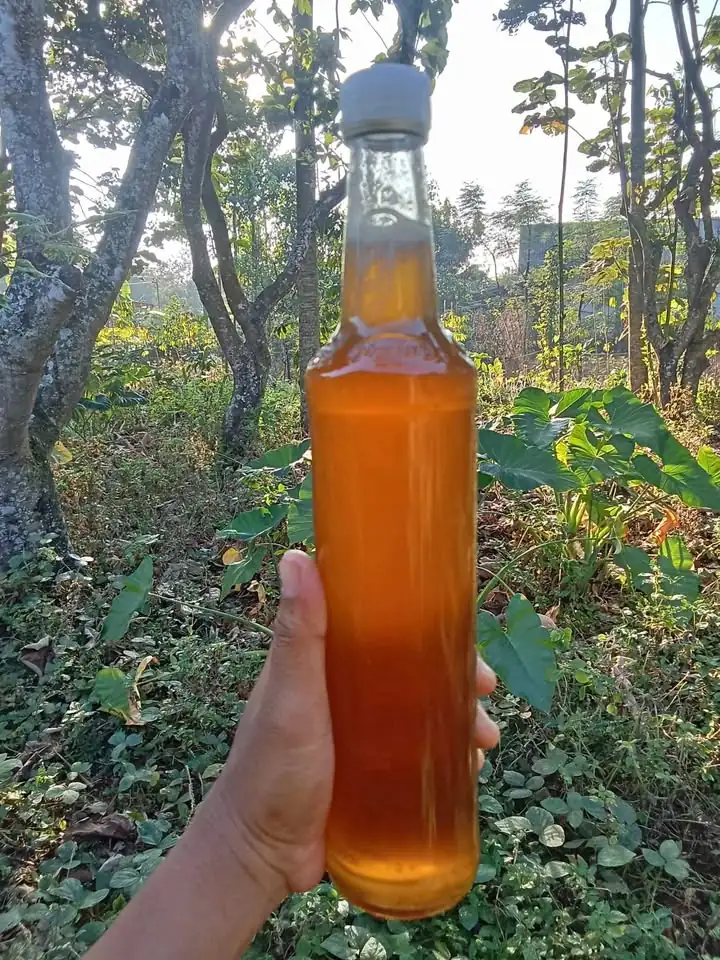 MADU KLANCENG