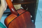 Gitar Cort Ad 810 Op Original
