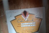 Gitar Akustik Cole Clark Jarang Dipake
