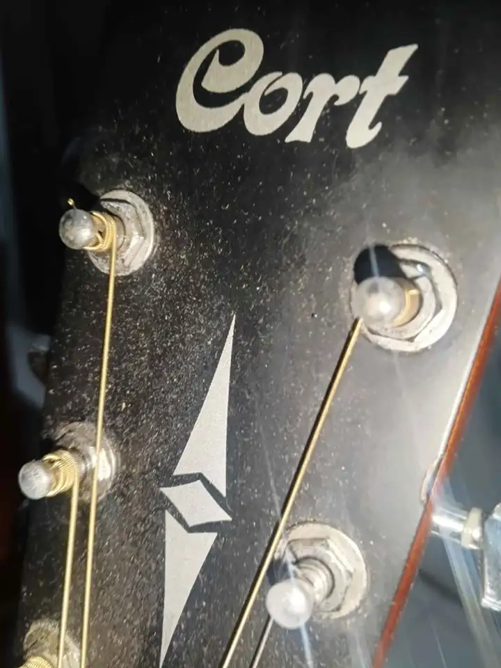 Gitar Cort Ad 810 Op Original