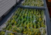 Buah Alpukat mentega frozen