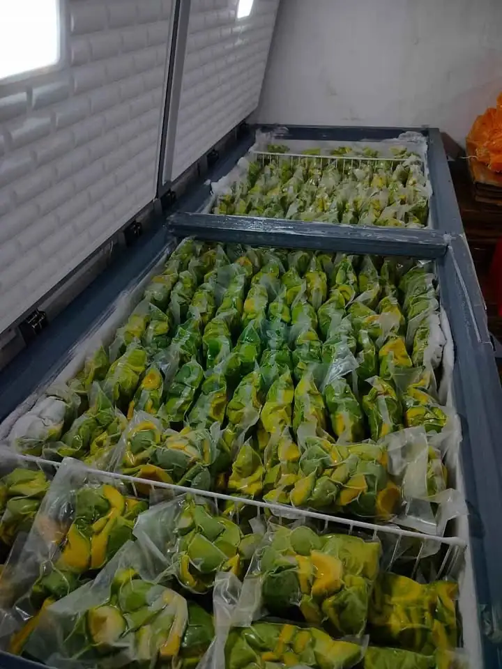 Buah Alpukat mentega frozen