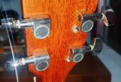 Gitar Cort Ad 810 Op Original
