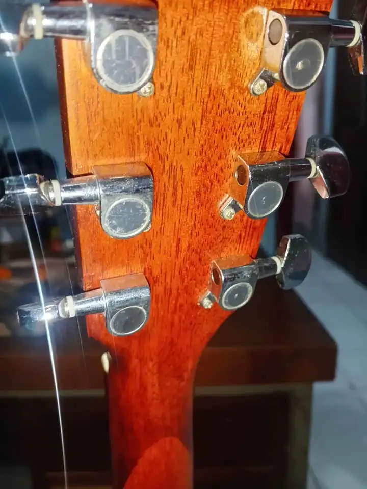 Gitar Cort Ad 810 Op Original