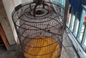 Kandang burung muray