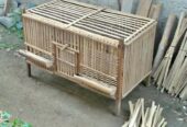 Kandang Ayam Bambu