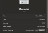 DIJUAL Mac Mini M4 16/256