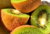Bibit Kiwi Super Genjah
