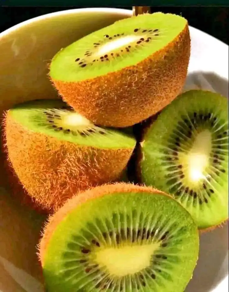 Bibit Kiwi Super Genjah