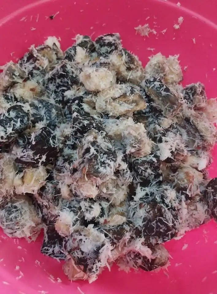 Makanan khas Gunungkidul Gatot Manggleng