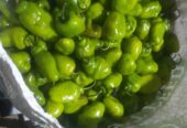 Cabe gendot dieng