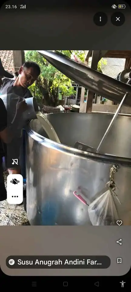 Susu sapi perah segar