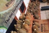 DURIAN BAWOR