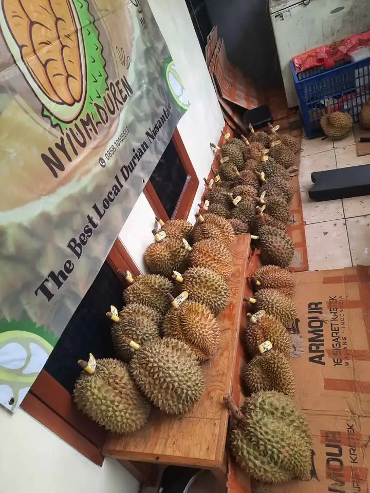 DURIAN BAWOR