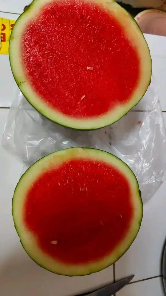 Semangka merah non biji