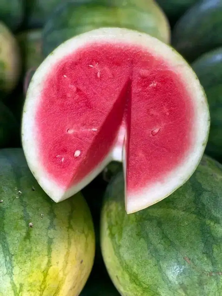 Semangka merah non biji