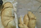 Durian lokal banyumas