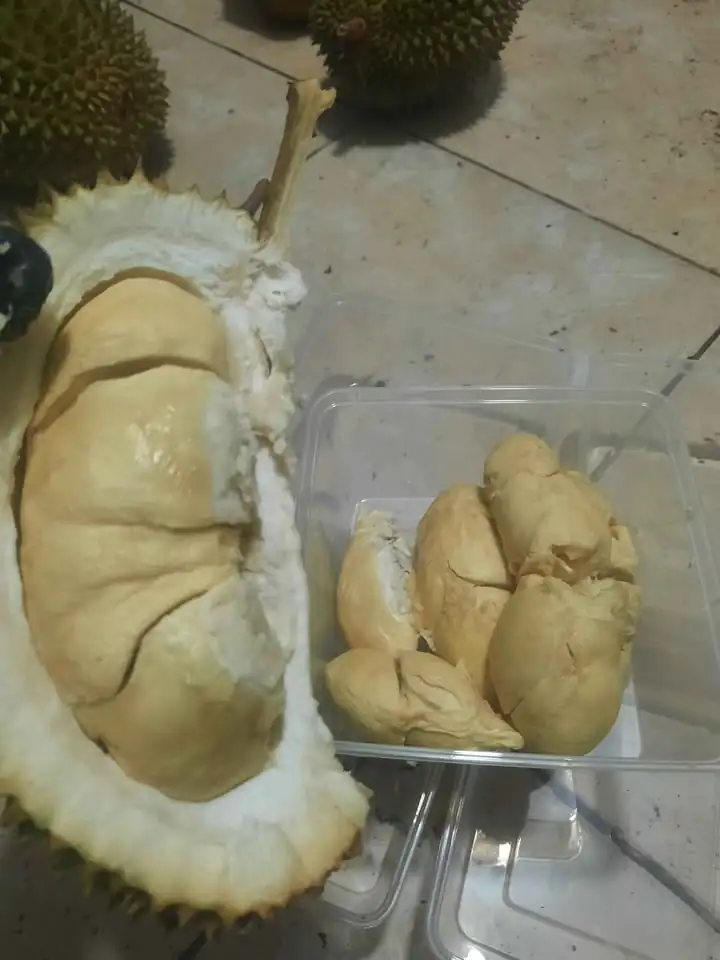 Durian lokal banyumas