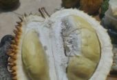 Durian lokal banyumas