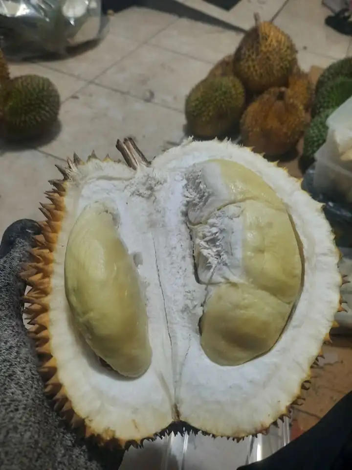 Durian lokal banyumas