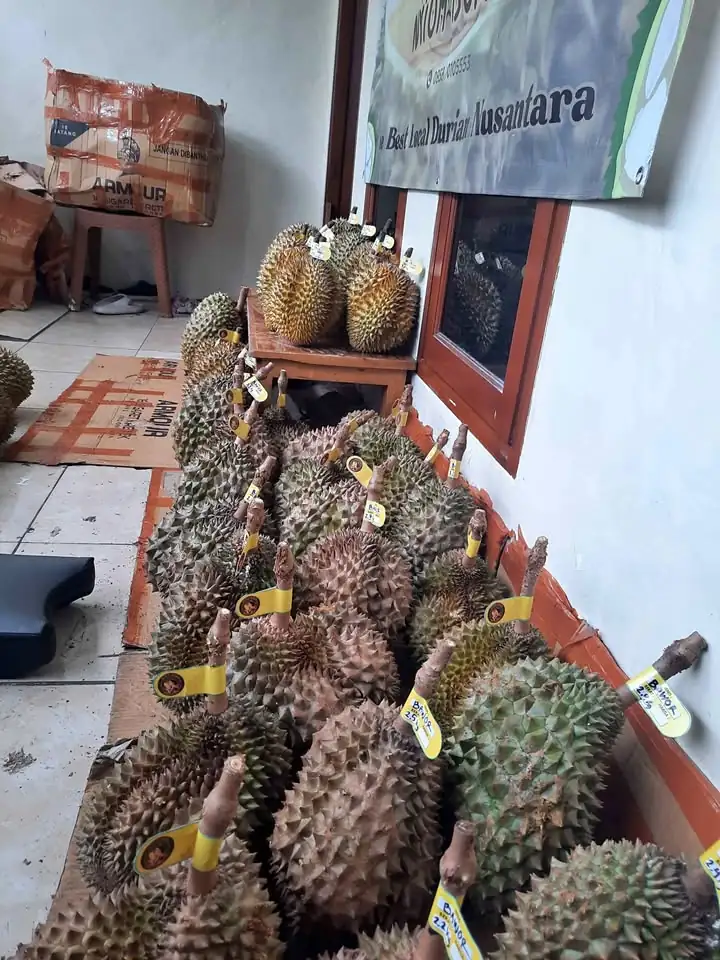 DURIAN BAWOR