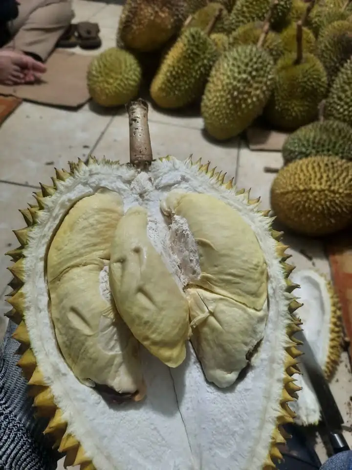 Durian lokal banyumas