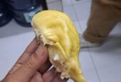Montong premium 90/kg