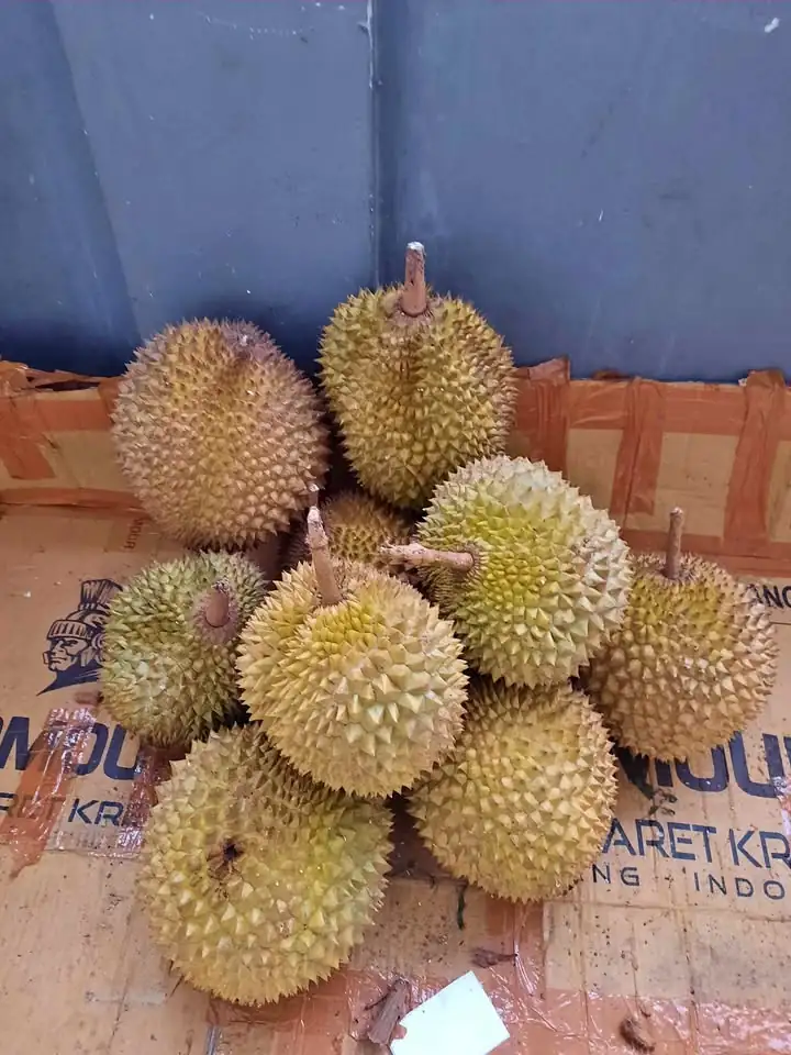 Durian lokal banyumas