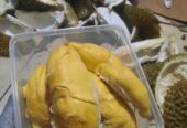 DURIAN BAWOR