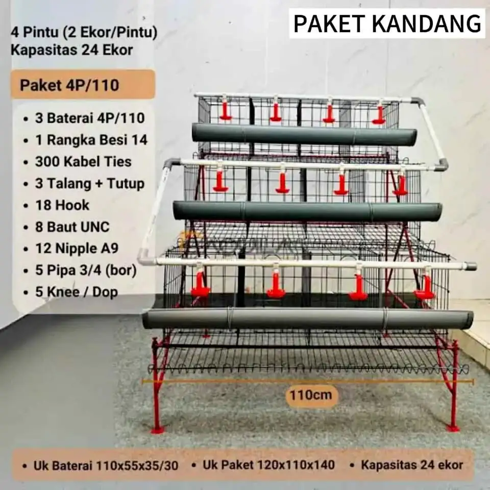 Kandang ayam petelur rumahan