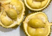 Montong premium 90/kg