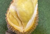 Montong premium 90/kg
