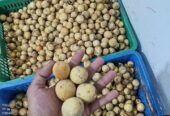 Buah Duku manis
