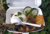 nasi boks dan Snack BOK