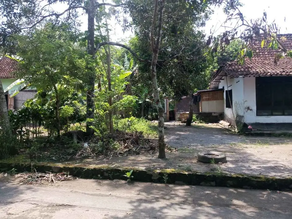 Dijual Tanah Pekarangan Di Kampung Mas Seyegan Sleman