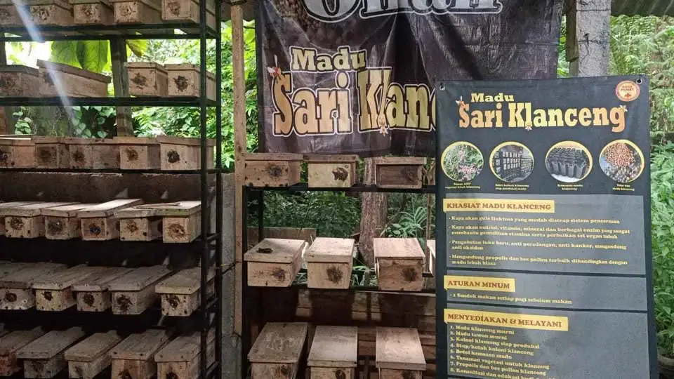 Madu Klanceng, Madu Sari Klanceng 100% Murni – Alami Tanpa Campuran