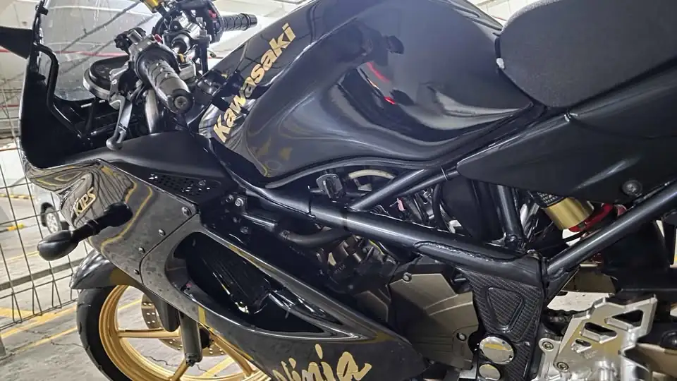 2015 Kawasaki ninja