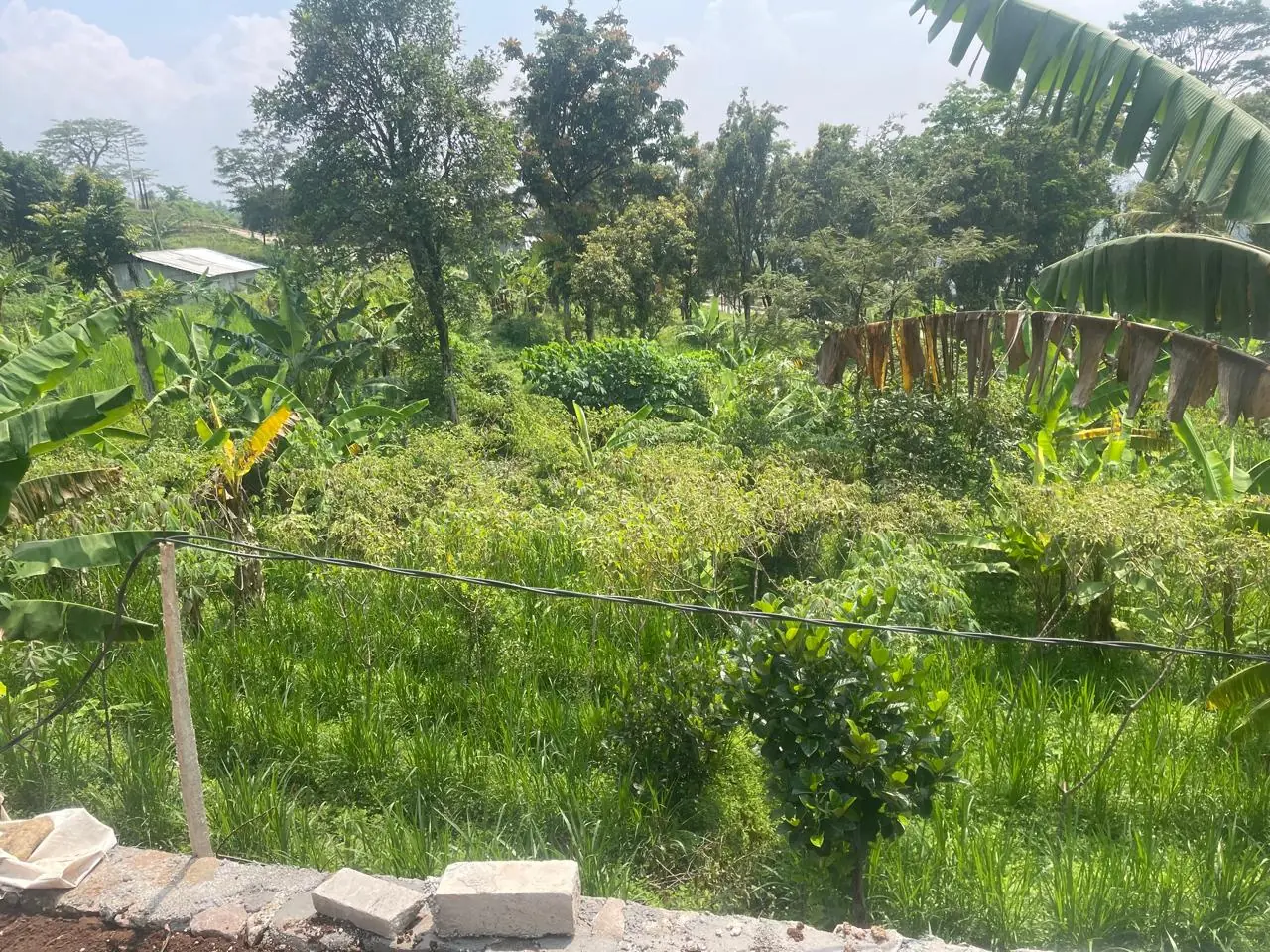 Jual tanah jatinangor