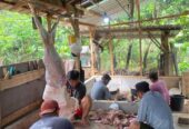 Sate mentah kambing