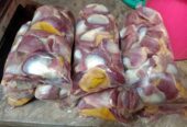 Ampela jantung fresh