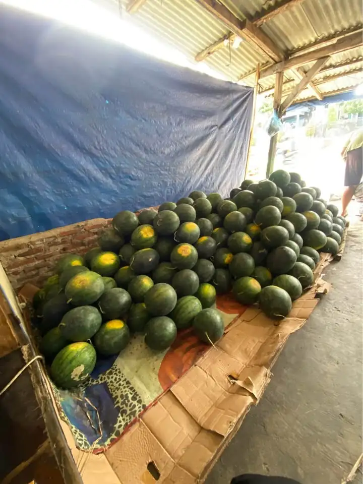 Obral semangka